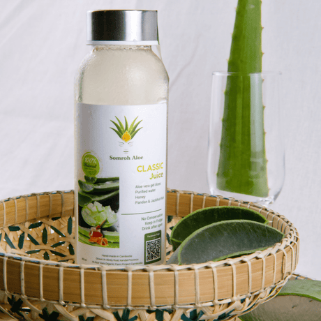 Aloe Vera Juice 300 ml Classic - ទឹកប្រទាលកន្ទុយក្រពើ (រសជាតិទឹកឃ្មុំ) - Healthy Drink