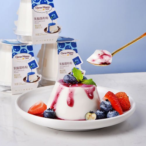 Clever Mama 125g Lactobacillus Blueberry Pudding - Healthy Food