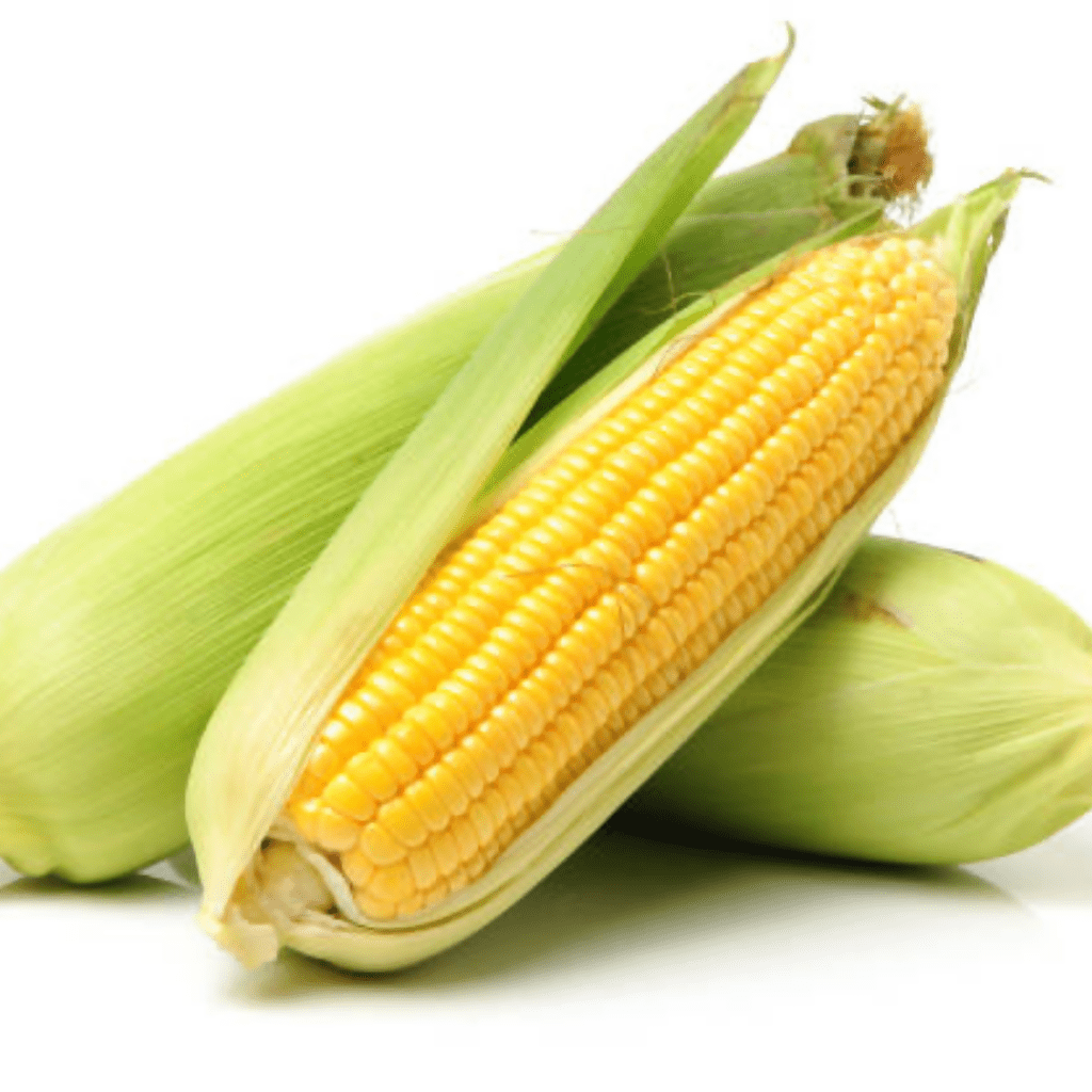 ពោត Corn - Others