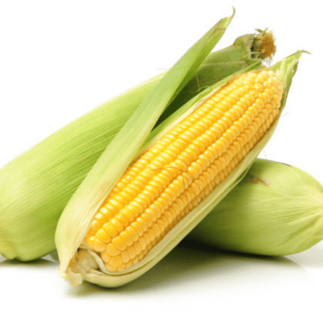 ពោត Corn - Others