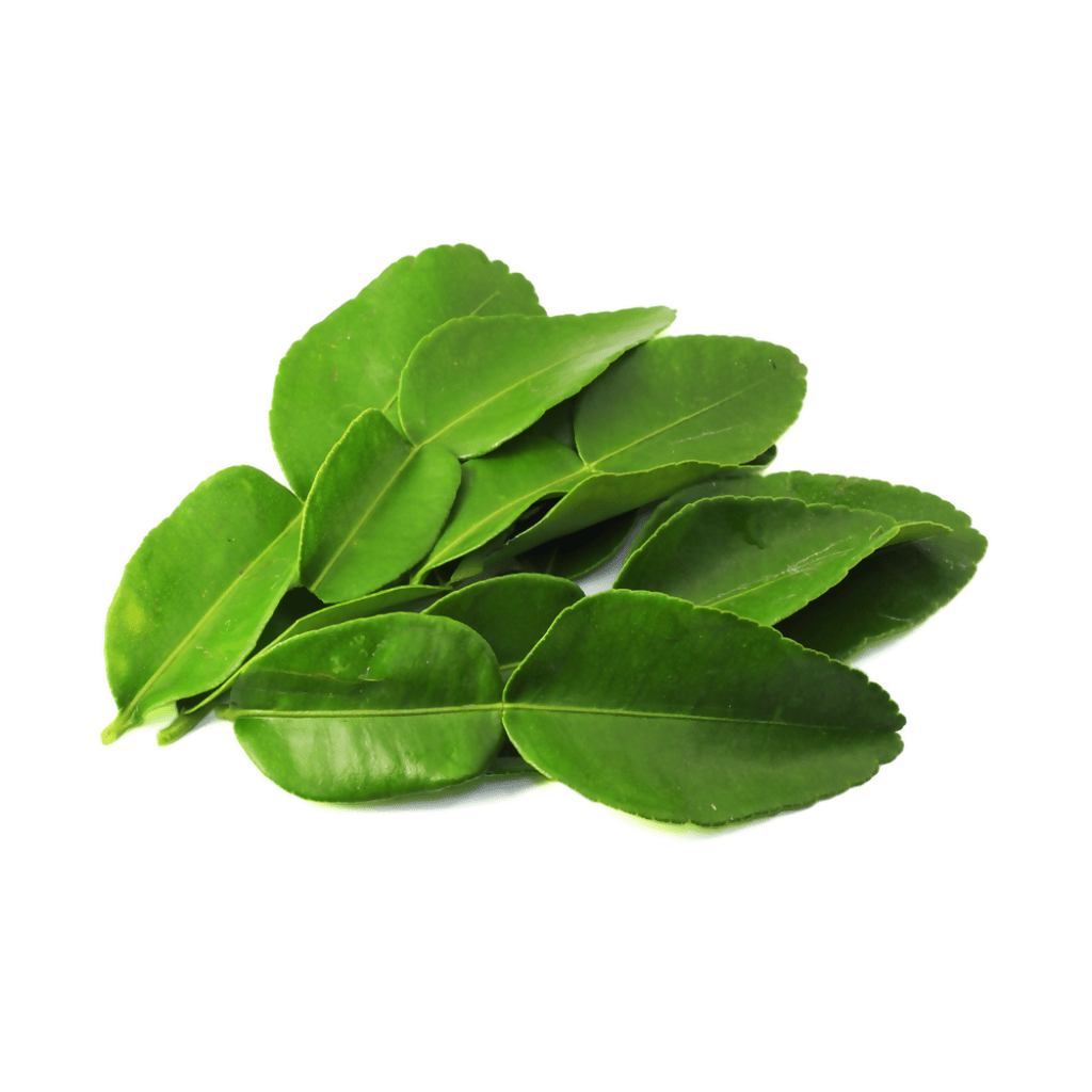 ស្លឹកក្រូចសើច Kaffir Lime Leaves - Organic Vegetables