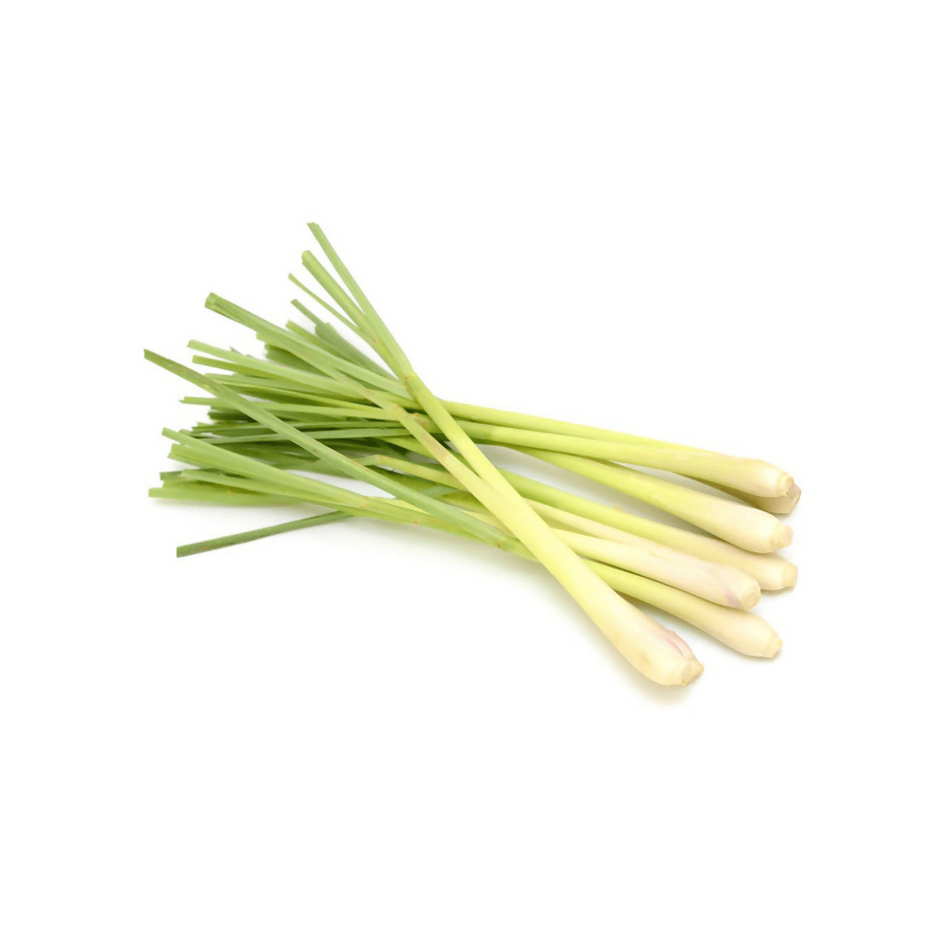 ស្លឹកគ្រៃ Lemongrass - Organic Vegetables