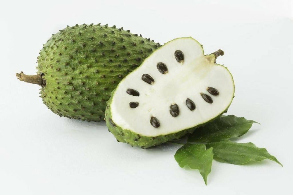ផ្លែទៀបបារាំង Soursop - Organic Fruits