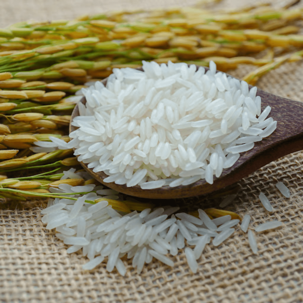 អង្ករដំណើប Sticky Rice (Glutinous Rice) - Others