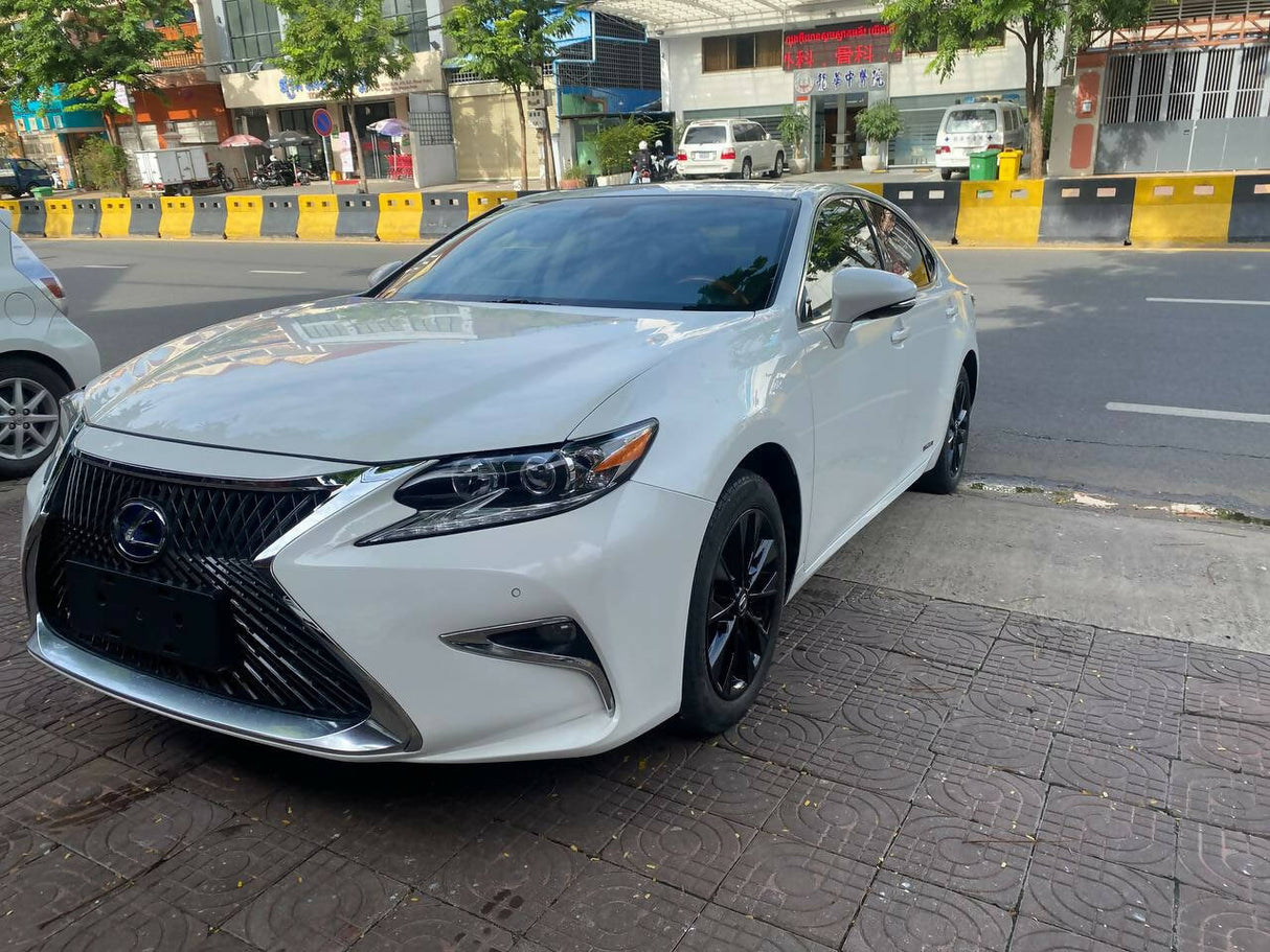 2014 Lexus ES300h