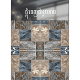 ការ៉ូសាច់ស្ងួតខ្នាត 40x40 - គីមីសំណង់ (CONSTRUCTION CHEMICAL PAINT)