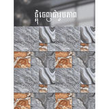 ការ៉ូសាច់ស្ងួតខ្នាត 40x40 - គីមីសំណង់ (CONSTRUCTION CHEMICAL PAINT)
