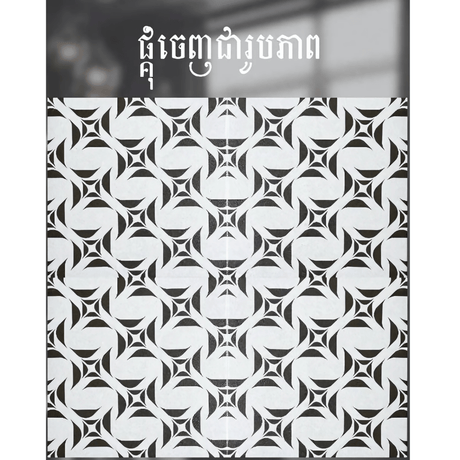 ការ៉ូសាច់ស្ងួតខ្នាត 40x40 - សម្ភារៈសំណង់ (construction material)