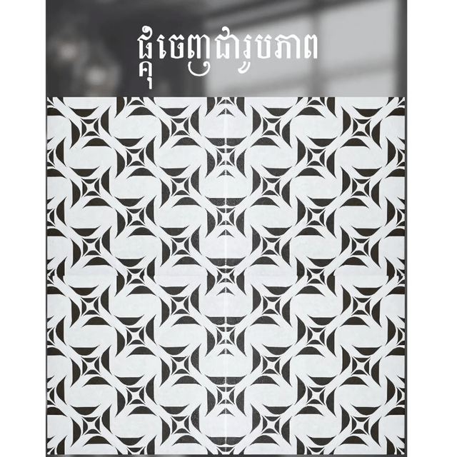 ការ៉ូសាច់ស្ងួតខ្នាត 40x40 - សម្ភារៈសំណង់ (construction material)