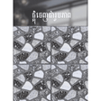 ការ៉ូសាច់ស្ងួតខ្នាត 40x40 - គីមីសំណង់ (CONSTRUCTION CHEMICAL PAINT)