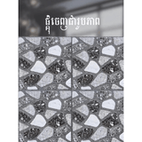 ការ៉ូសាច់ស្ងួតខ្នាត 40x40 - គីមីសំណង់ (CONSTRUCTION CHEMICAL PAINT)