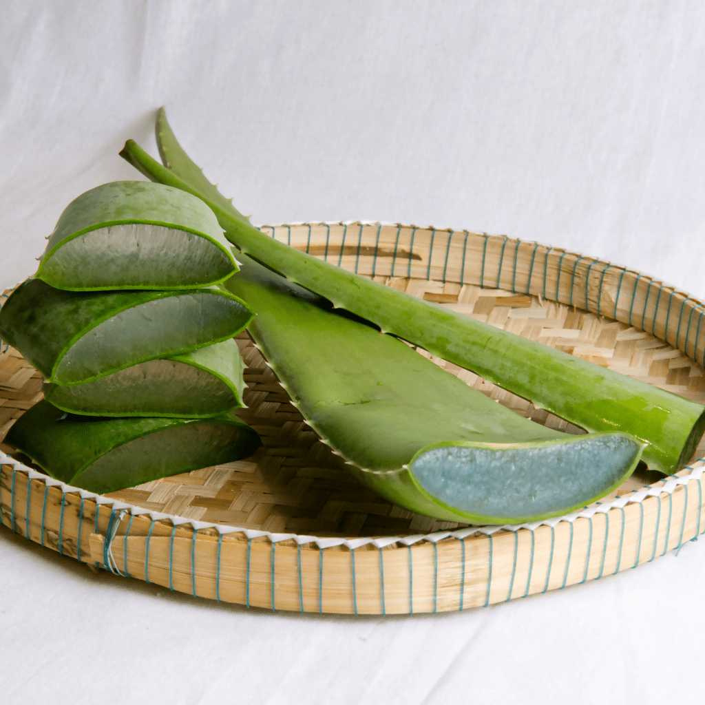 ធាងប្រទាលកន្ទុយក្រពើ - Aloe Vera leaf - Organic Vegetables
