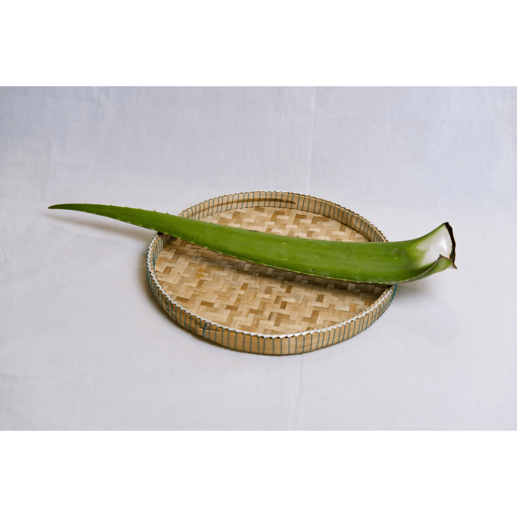 ធាងប្រទាលកន្ទុយក្រពើ - Aloe Vera leaf - Organic Vegetables