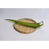 ធាងប្រទាលកន្ទុយក្រពើ - Aloe Vera leaf - Organic Vegetables