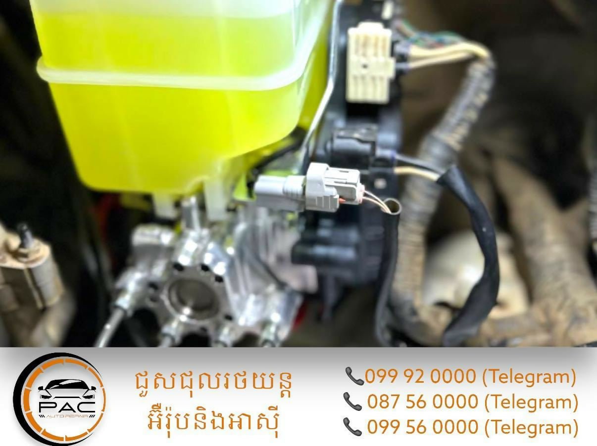 PAC ប្រព័ន្ធហ្វ្រាំងគ្រប់ប្រភេទ - All kinds of braking system, ABS and stability control - Car Repairs