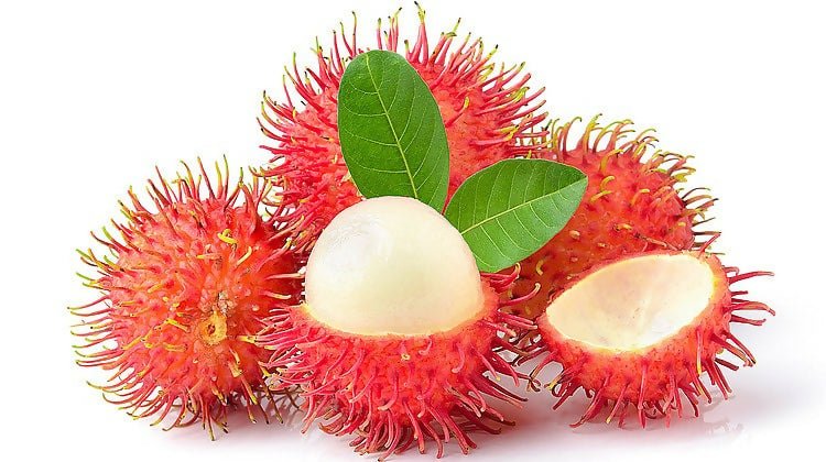 ផ្លែសាវម៉ាវ Rambutans - Organic Fruits