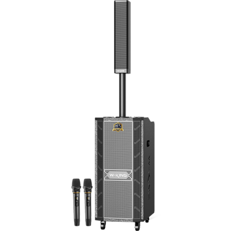 W - King K20 plus - Musical Instrument