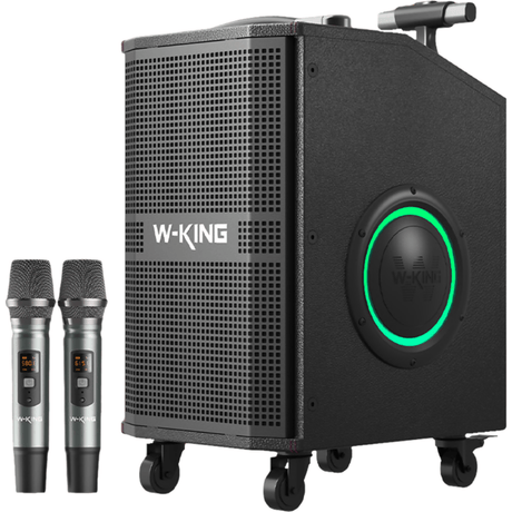 W - King K21SE - Musical Instrument