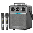 W - King T6s - Musical Instrument