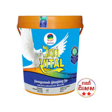 ខាំផែន WB 002 វីតាល់ VITAL ចំណុះ 15L - ថ្នាំលាបលម្អប្រភេទលាយទឹក (WATER BASE DECORATIVE PAINT)