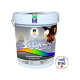 ខាំផែន WB 003 ផែនតិក្សស៊ូបពើ PAINTEX SUPER ចំណុះ 18L - ថ្នាំលាបលម្អប្រភេទលាយទឹក (WATER BASE DECORATIVE PAINT)