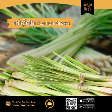 គល់ស្លឹកគ្រៃ Lemon Grass - Agriculture