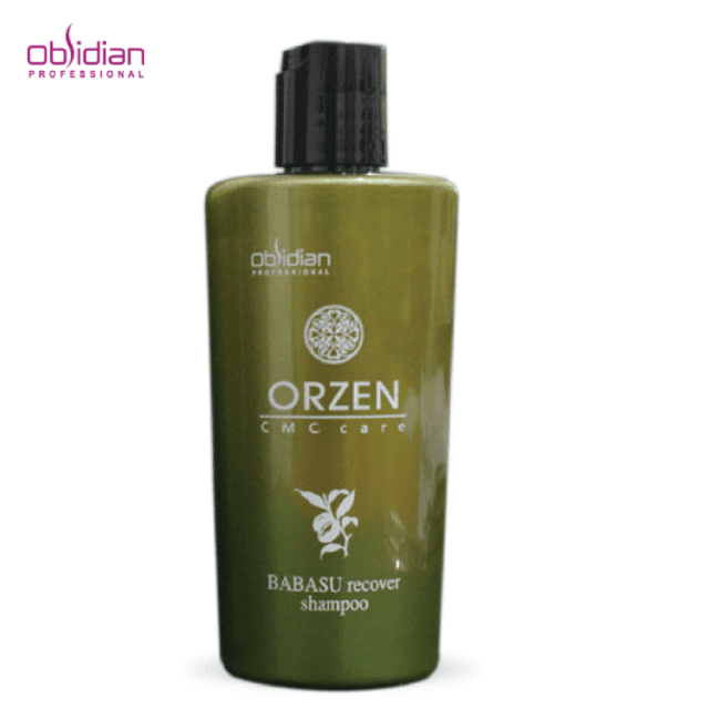 OB Orzen CMC Babasu Shampoo 480g | សាប៊ូកក់បំប៉ន និងព្យាបាលសរសៃសក់ខូចខ្លាំង OB0108 - Cosmetic Product