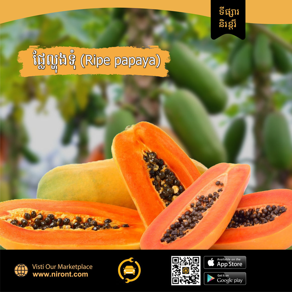 ល្ហុងទុំ Ripe Papaya - Agriculture